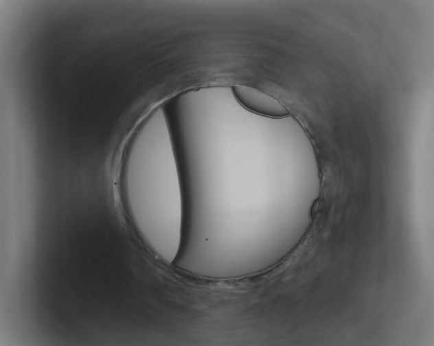 X0000102410290200808011022