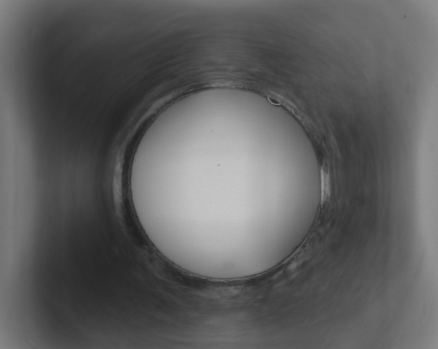 X0000102410291200808011022