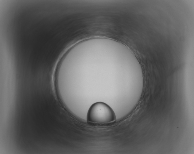 X0000102410292200808011022