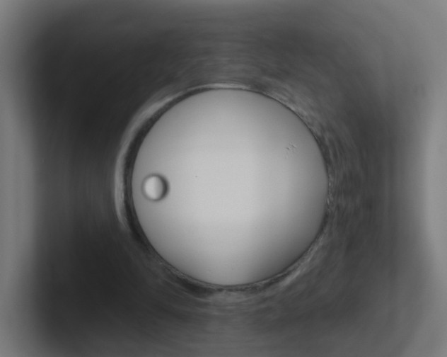X0000102410294200808011022
