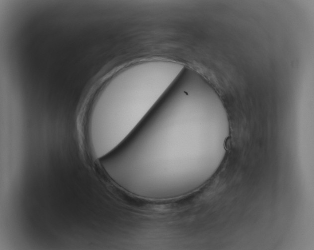 X0000102410295200808011022