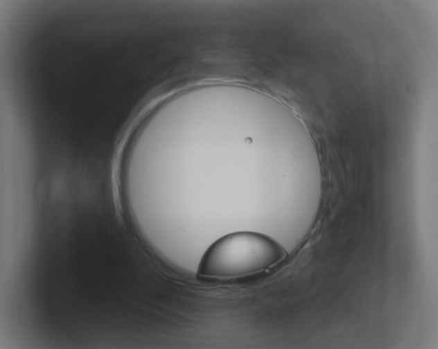X0000102410296200808011022
