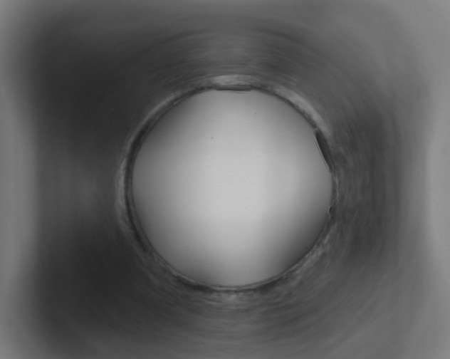 X0000102410297200808011022