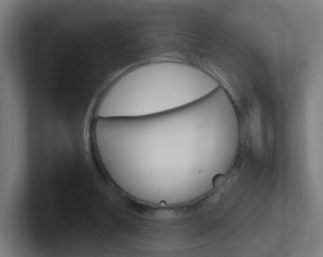 X0000102410298200808011022
