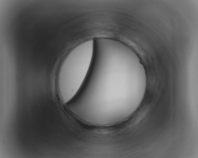X0000102410299200808011022