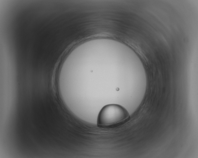 X0000102410300200808011022