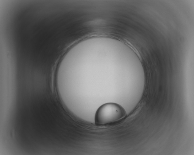 X0000102410301200808011022