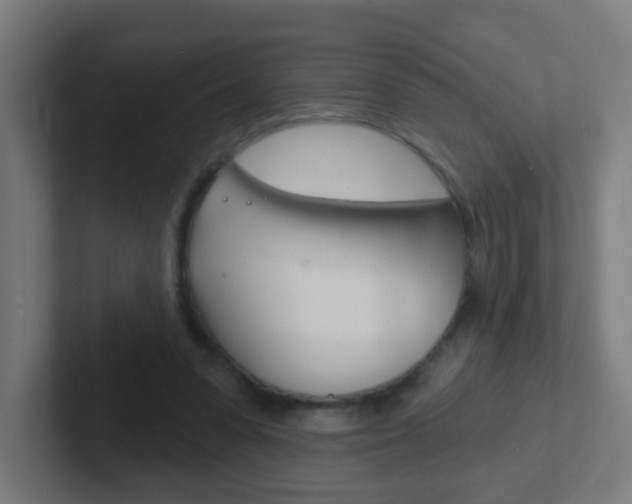X0000102410303200808011021