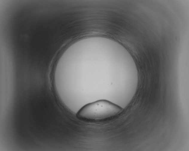X0000102410304200808011021