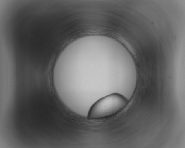 X0000102410305200808011021