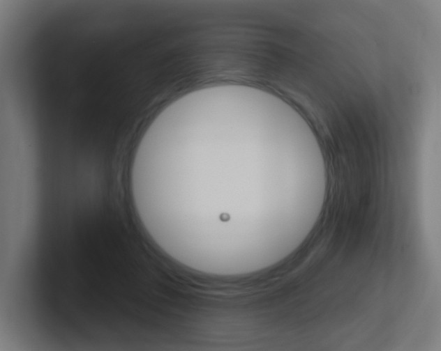 X0000102410308200808011021