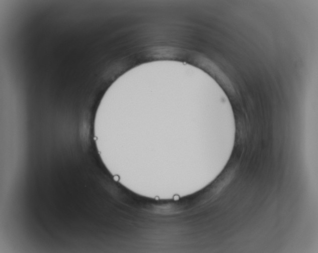 X0000102410309200808011021