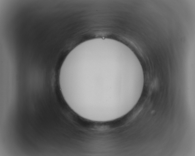 X0000102410311200808011021