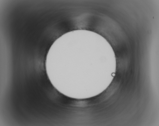 X0000102410313200808011021