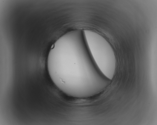X0000102410315200808011021