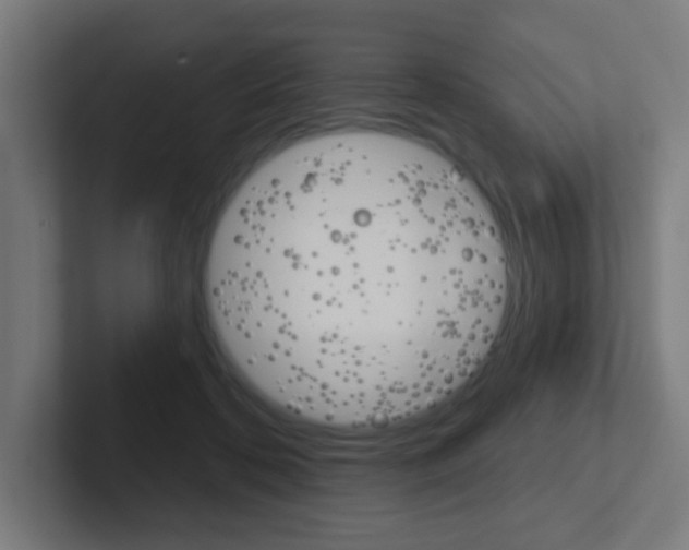 X0000102410316200808011021