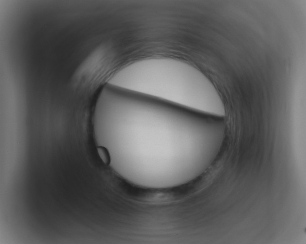 X0000102410319200808011021