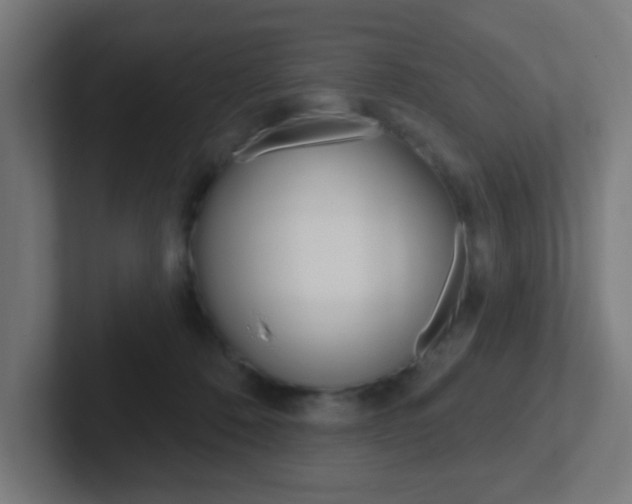X0000102410320200808011021