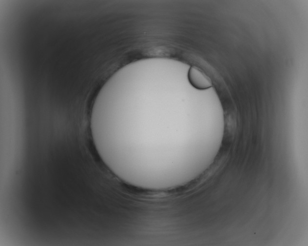 X0000102410322200808011021