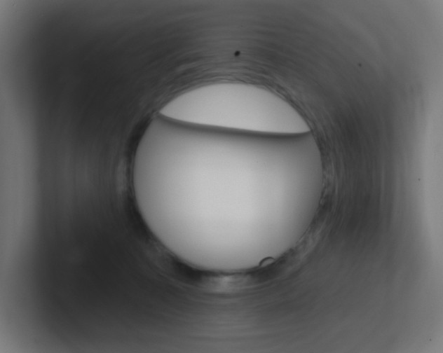 X0000102410323200808011021