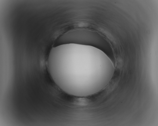 X0000102410324200808011021