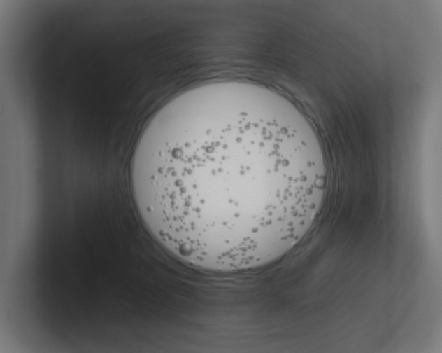 X0000102410325200808011021