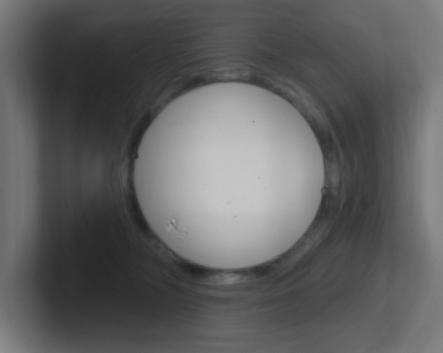 X0000102410326200808011021