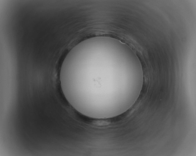 X0000102410327200808011021