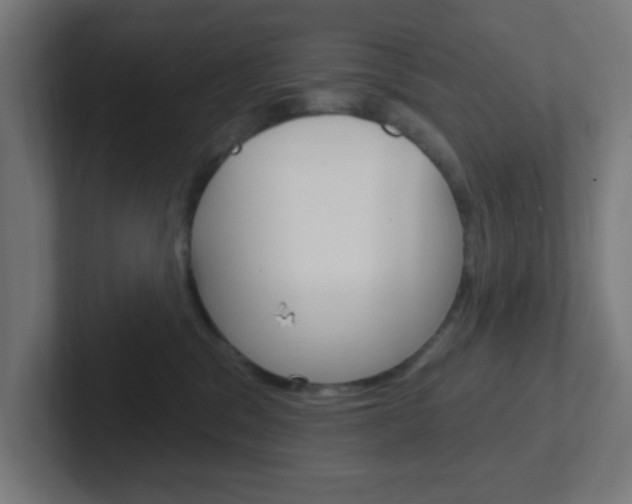 X0000102410329200808011021