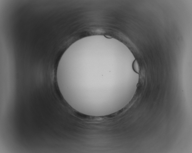 X0000102410330200808011021