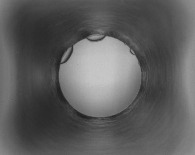 X0000102410331200808011021