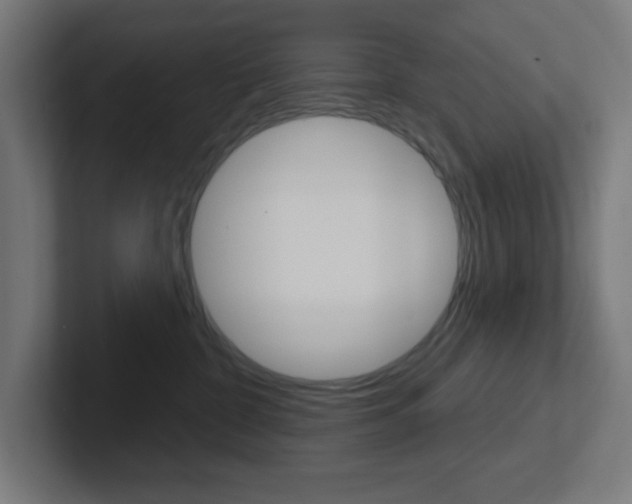 X0000102410332200808011021