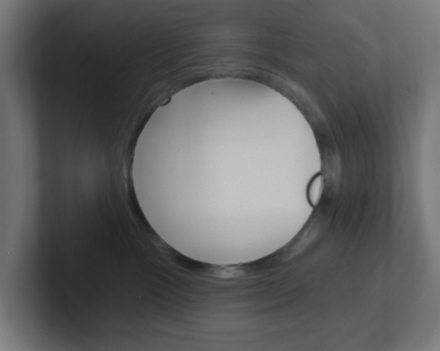 X0000102410333200808011021