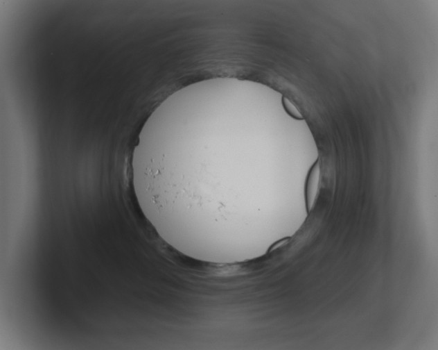 X0000102410334200808011021