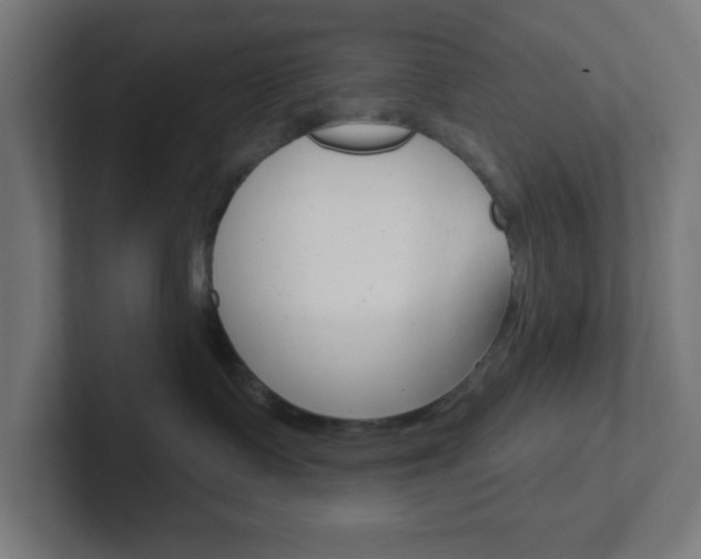 X0000102410335200808011021