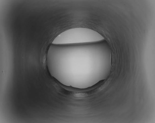 X0000102410336200808011021