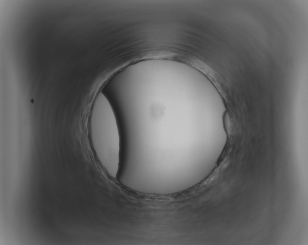 X0000102410337200808011020