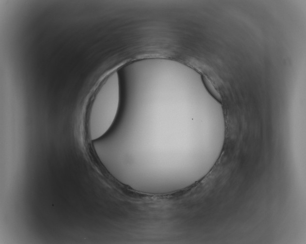 X0000102410338200808011020