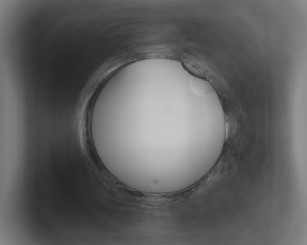 X0000102410339200808011020