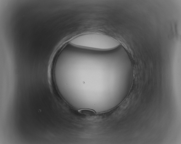 X0000102410340200808011020