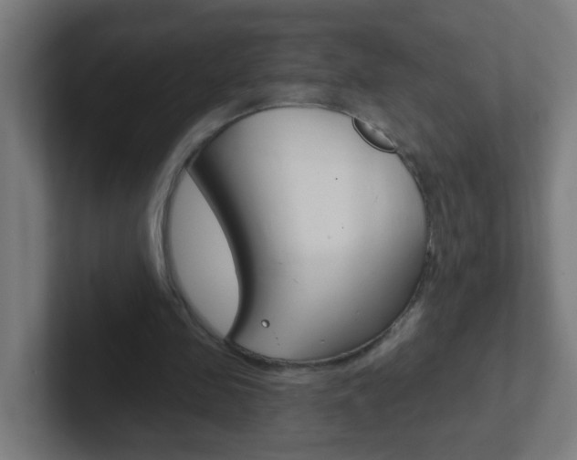 X0000102410341200808011020
