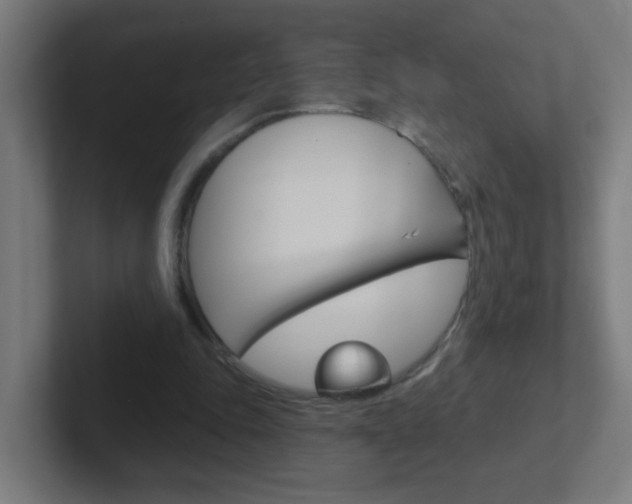 X0000102410343200808011020
