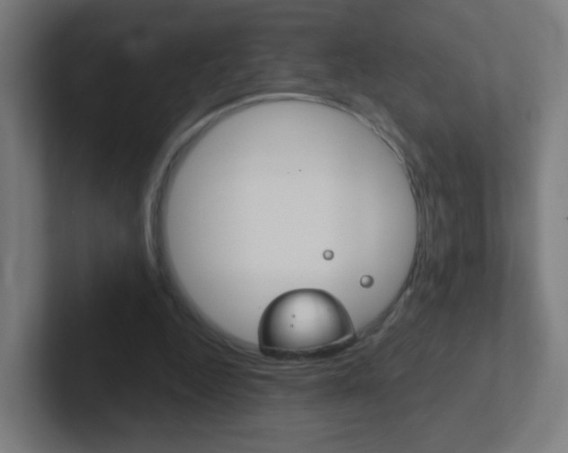 X0000102410344200808011021