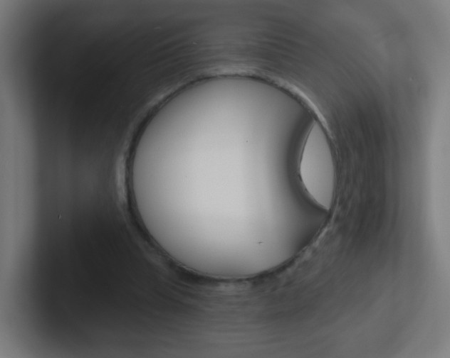 X0000102410345200808011021