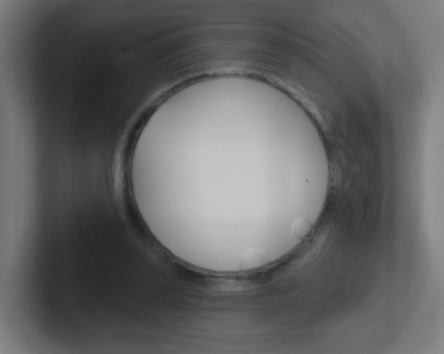 X0000102410347200808011021