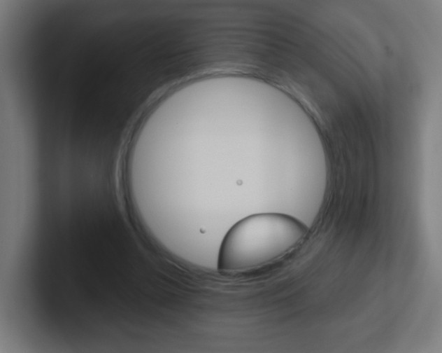 X0000102410348200808011021