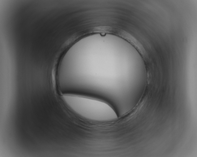 X0000102410349200808011021