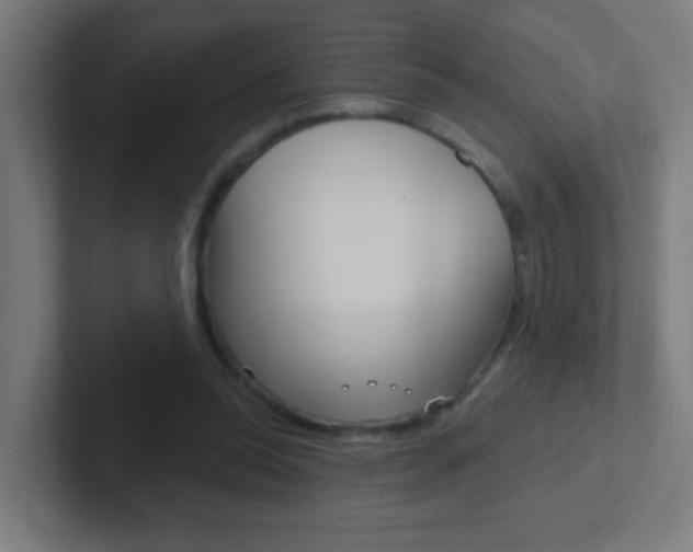 X0000102410350200808011021