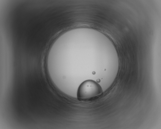 X0000102410352200808011021