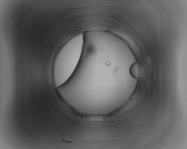 X0000102410353200808011021